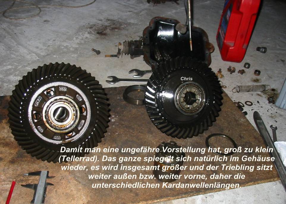 Größenvergleich "klein/groß"