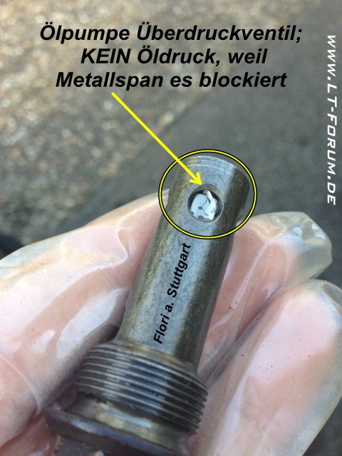 Flori aus S Flori aus S