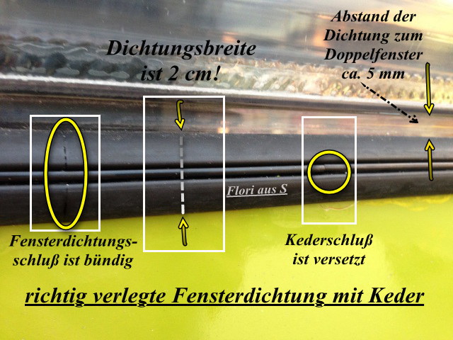 Flori aus S Flori aus S