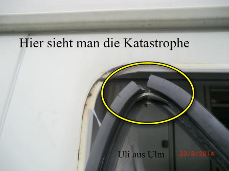 Uli aus Ulm Uli aus Ulm